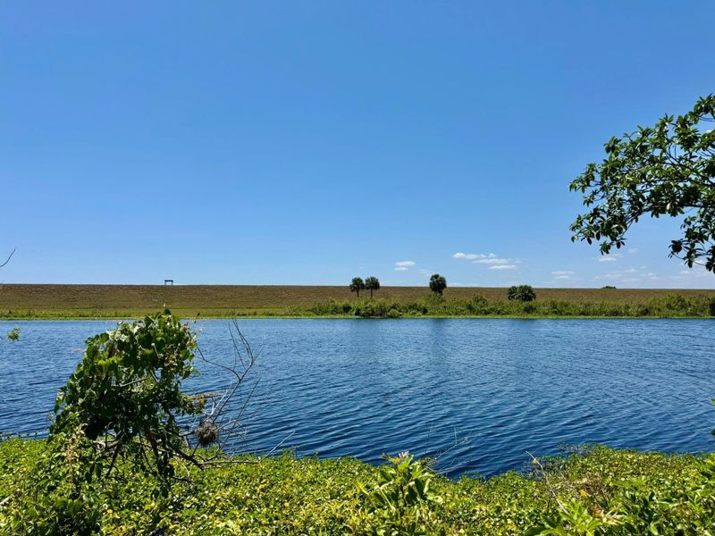 Natural landscape and outdoor views near  in Okeechobee (Image 40).