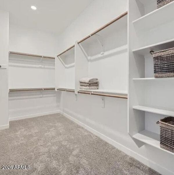 Owners Walk in Closetr