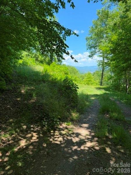 Natural landscape and outdoor views near  in Maggie Valley (Image 17).