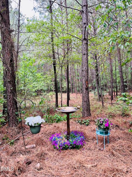 processed-A5E4B9B7-FCCC-4216-9231-9DB0D0 processed-A5E4B9B7-FCCC-4216-9231-9DB0D0