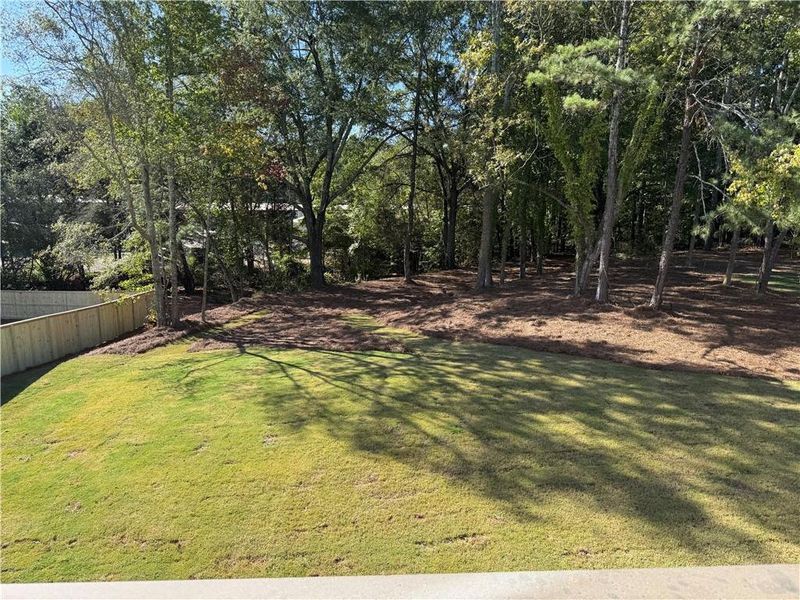 Natural landscape and outdoor views near  in Buford (Image 49).