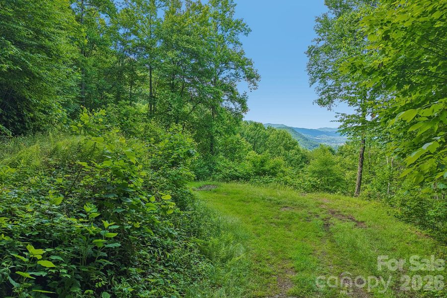 Natural landscape and outdoor views near  in Maggie Valley (Image 28).