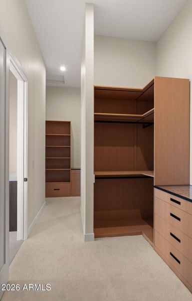 Closet w/ Built Ins