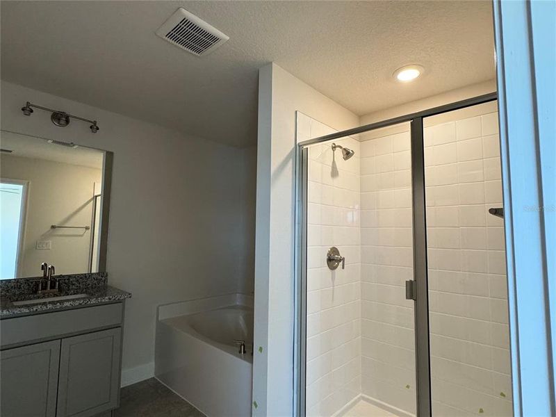 Furnished interior view inside a new home in Harmony Central, Harmony (Image 3). Furnished interior view inside a new home in Harmony Central, Harmony (Image 3).