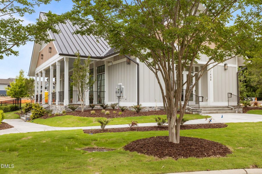 49-web-or-mls-2N6A1042