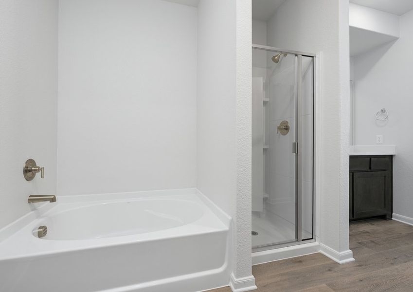 The master bathroom has a glass, walk-in shower and a garden tub.