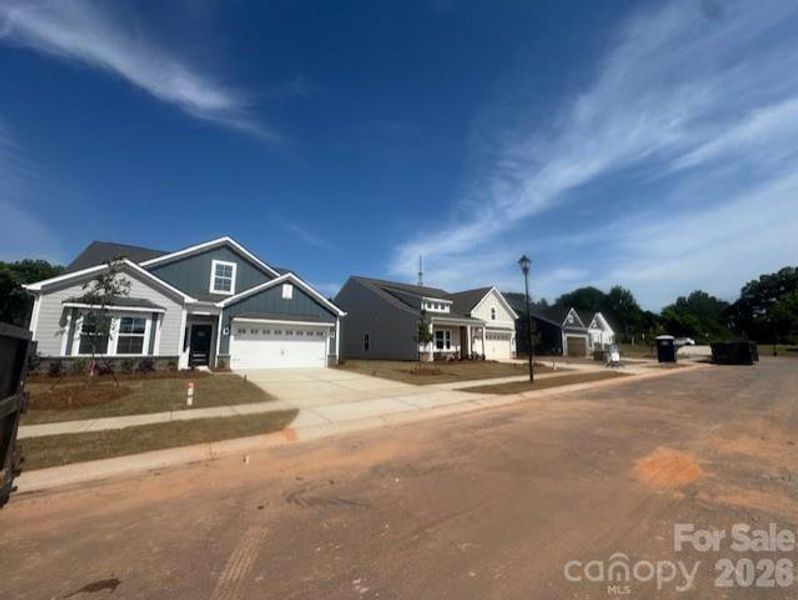 Neighborhood Streetscape