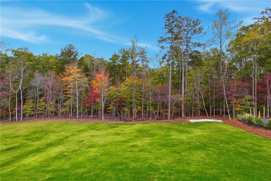 Natural landscape and outdoor views near  in Cumming (Image 52).