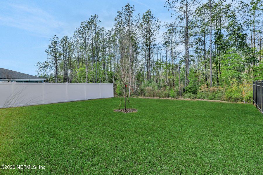 Exterior details and patio area of a home in Cedar Creek, Jacksonville (Image 29).