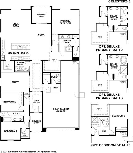 Celeste-P243-BridleParkatAlamar Static FP JPG Celeste-P243-BridleParkatAlamar Static FP JPG