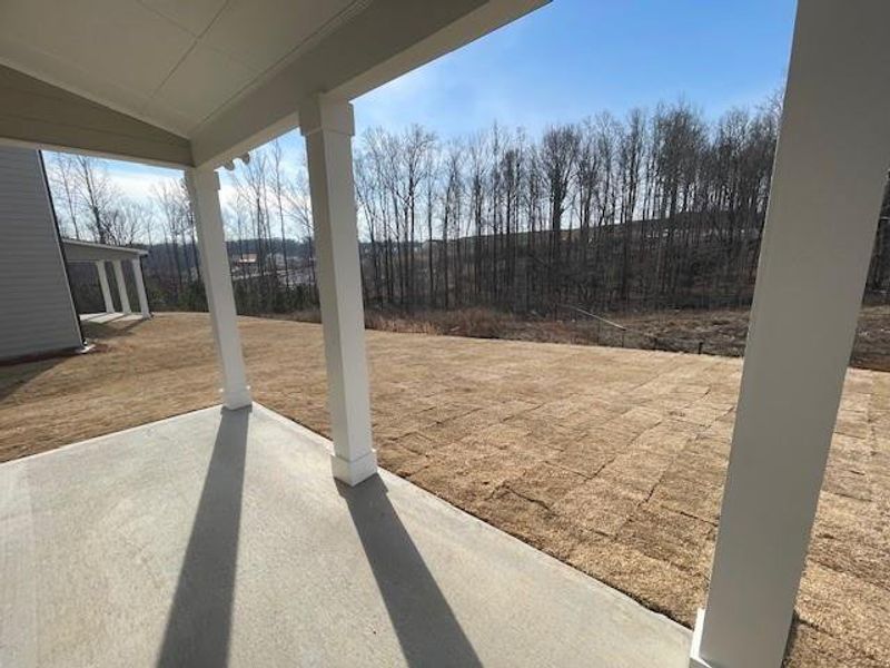 Exterior details and patio area of a home in Ponderosa Farms Estates, Gainesville (Image 4).