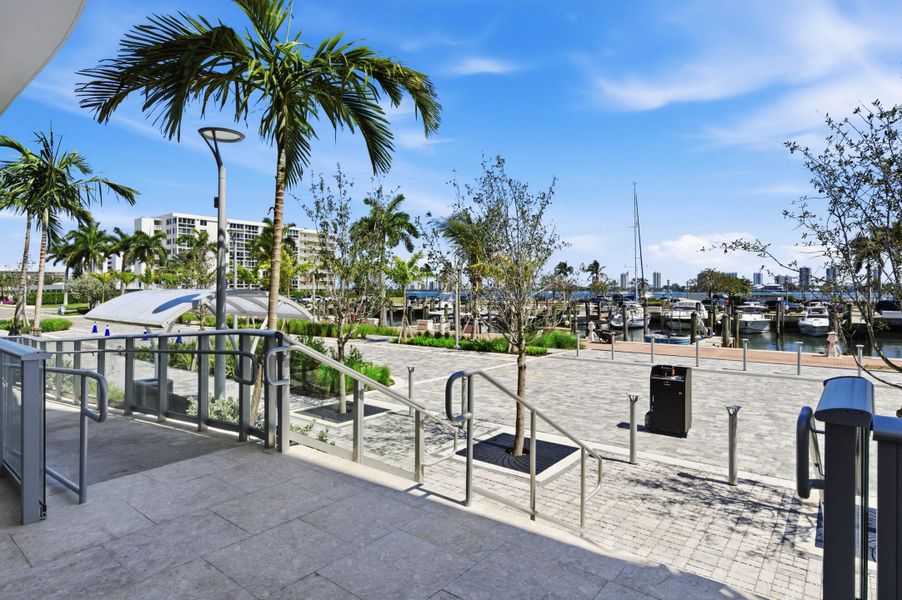 Nautilus_220_003 Nautilus_220_003