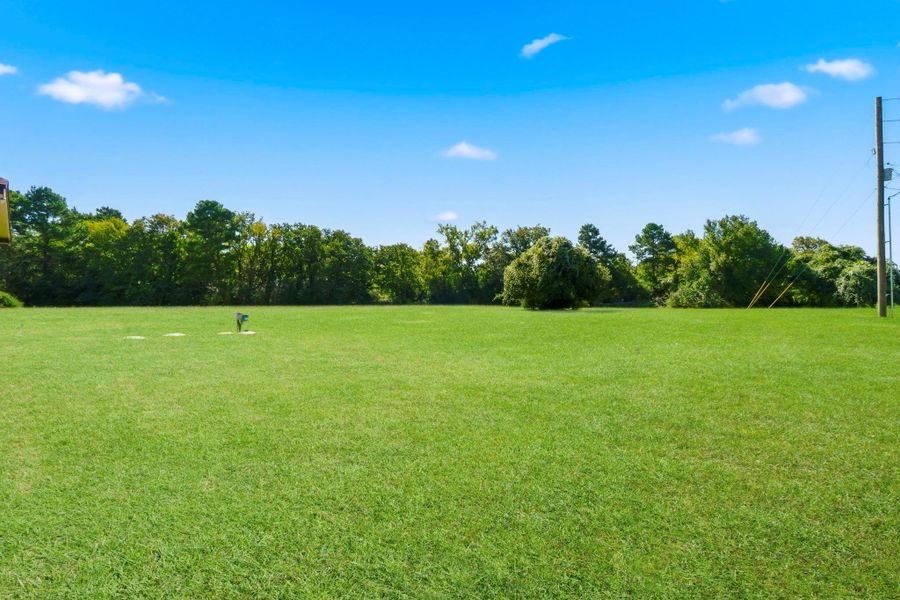 Natural landscape and outdoor views near  in Centerville (Image 41).