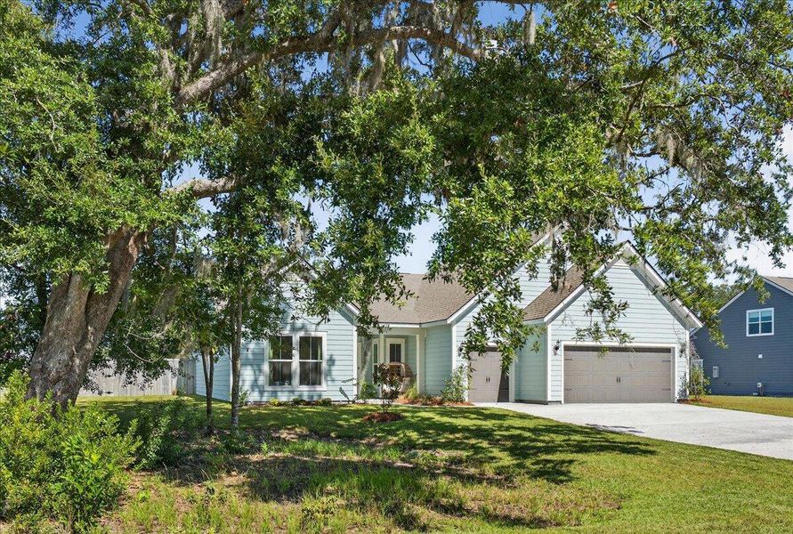 Natural landscape and outdoor views near in Johns Island (Image 34). Natural landscape and outdoor views near in Johns Island (Image 34).