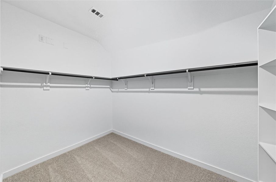 Spacious closet with carpet Spacious closet with carpet