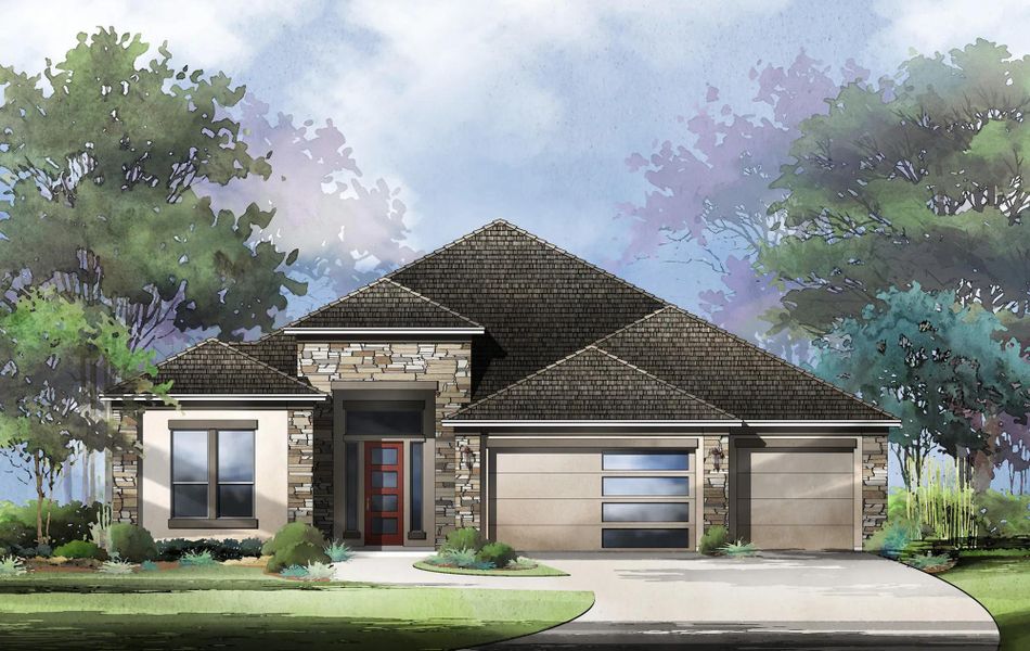 Mulberry D Mulberry D