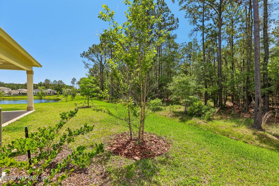 Natural landscape and outdoor views near Seasons at Morada in St. Augustine (Image 43).
