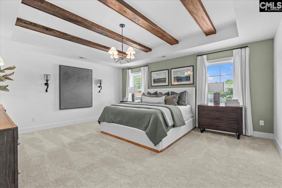 Furnished interior view inside a new home in Boykin Hills, Chapin (Image 14).