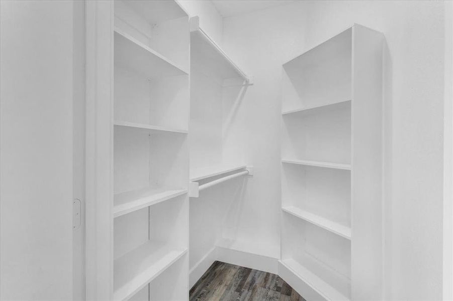 Spacious closet with dark wood-type flooring