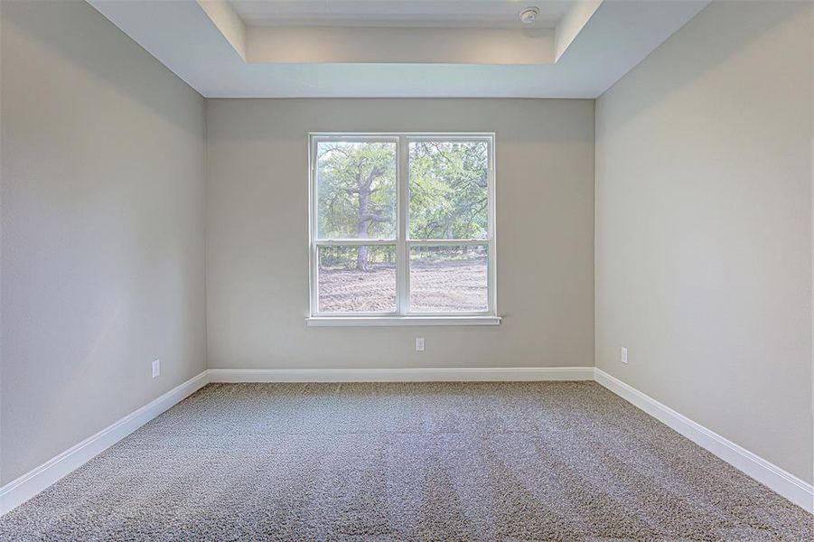 Owner's suite with backyard views.