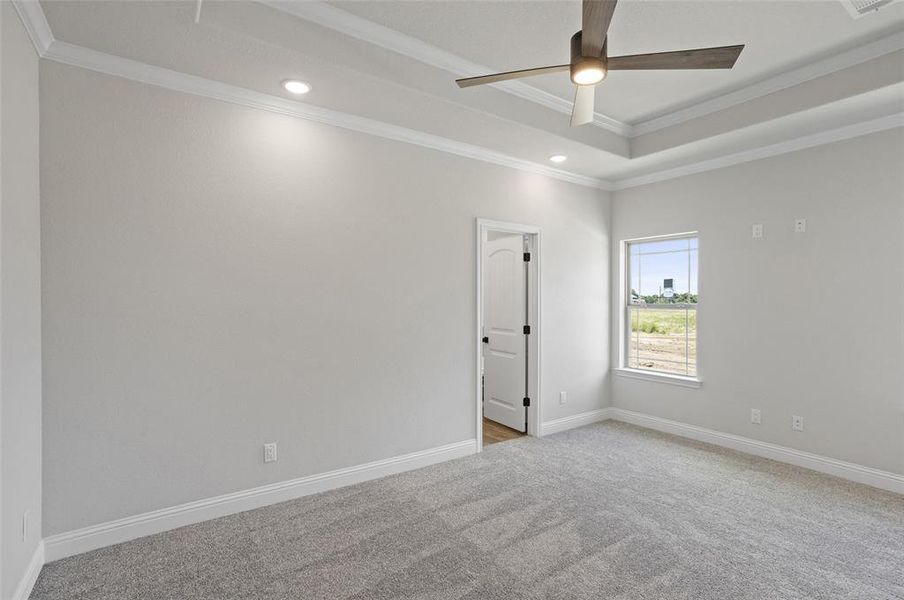 Carpeted spare room with a tray ceiling, ornamental molding, and ceiling fan