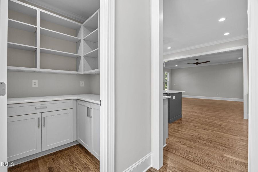 26-web-or-mls-IMG_5028