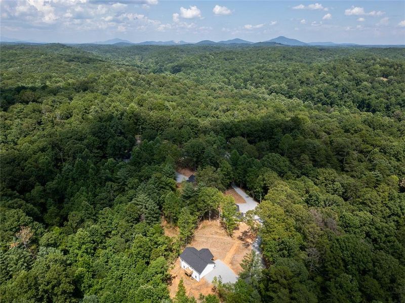 Natural landscape and outdoor views near  in Dahlonega (Image 40).