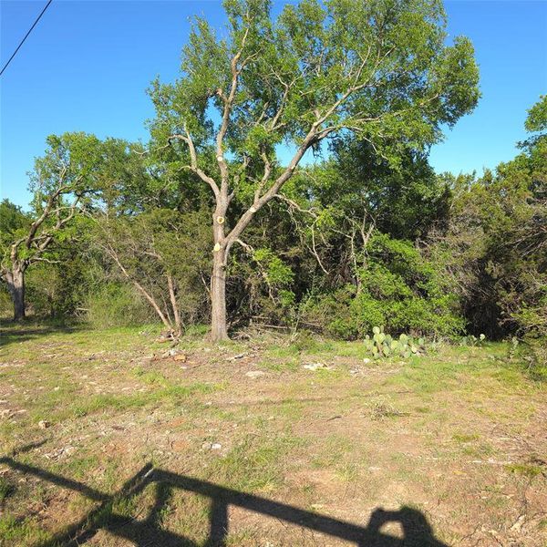 Natural landscape and outdoor views near  in Palo Pinto (Image 16).