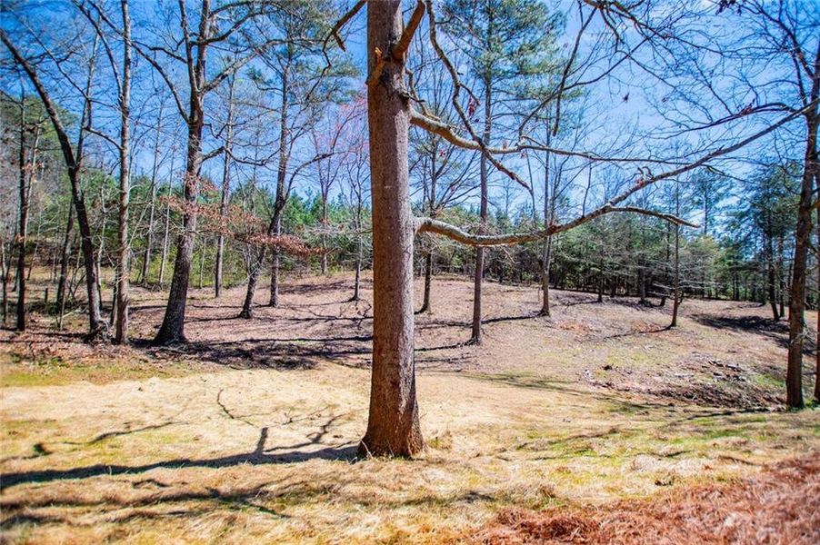 Natural landscape and outdoor views near  in Waco (Image 53).