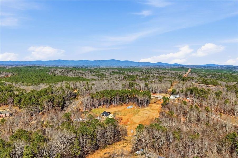 Natural landscape and outdoor views near  in Ball Ground (Image 52).