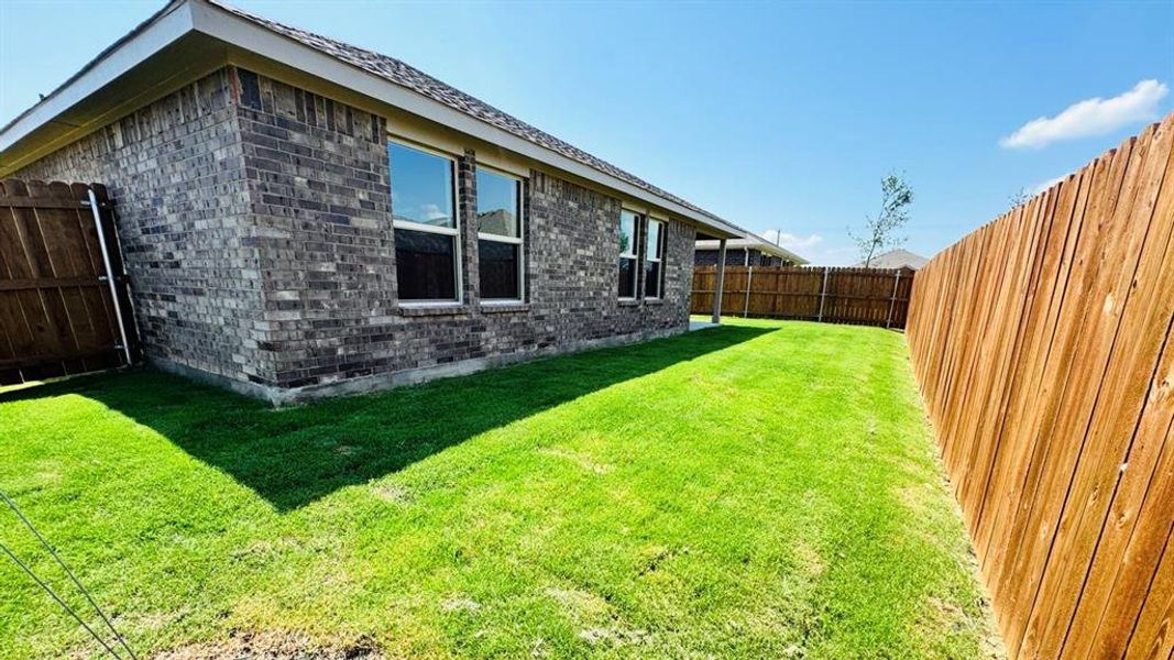 Rear Elevation Rear Elevation