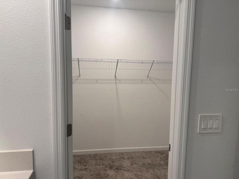 Spacious, unfurnished interior of a new home in Cascades, Davenport (Image 6).