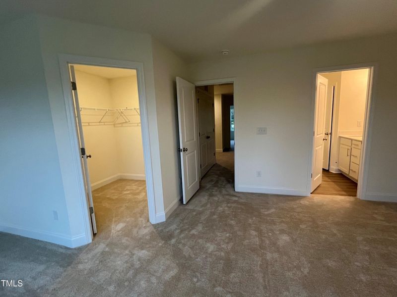 Primary Suite w/Walk in Closet