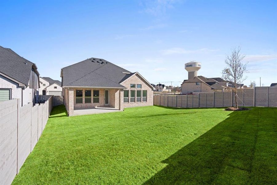 DAL_Painted Tree_Easton_3925 Menard Street (36) DAL_Painted Tree_Easton_3925 Menard Street (36)