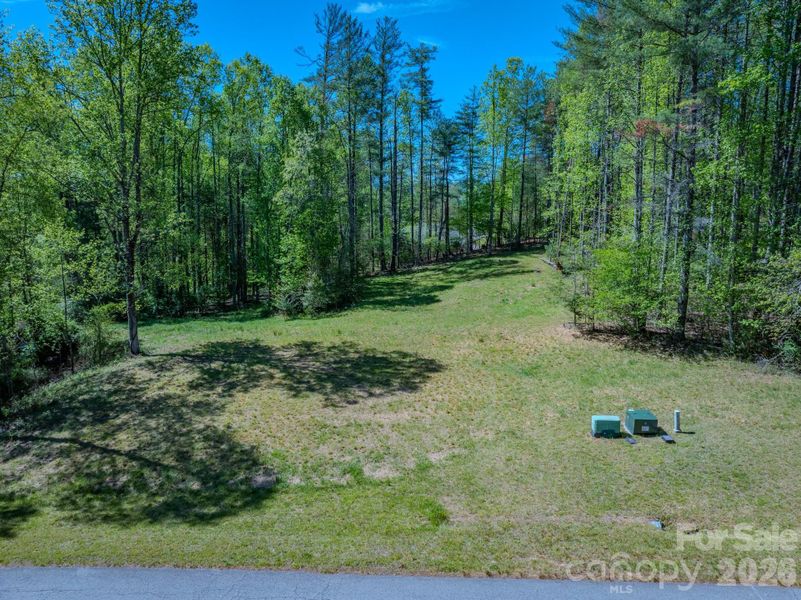 Natural landscape and outdoor views near  in Hendersonville (Image 4).