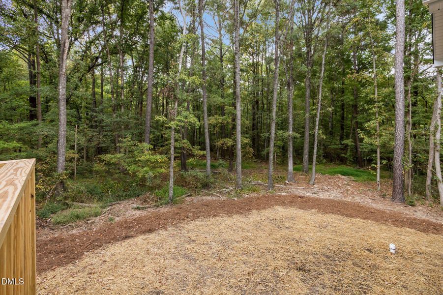 49-web-or-mls-P1087015