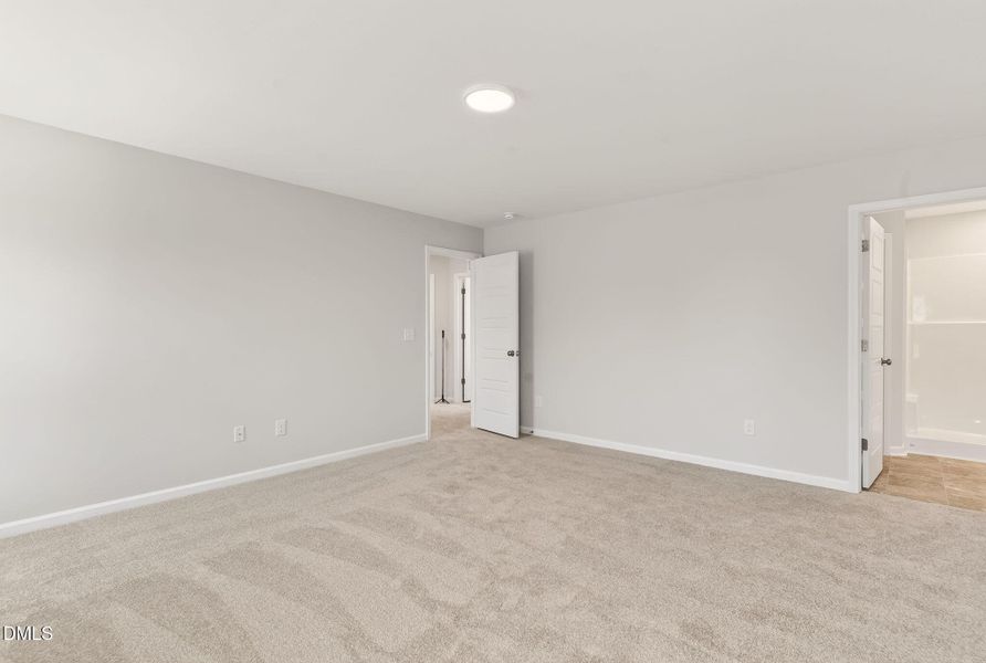 26-web-or-mls-DSC02448