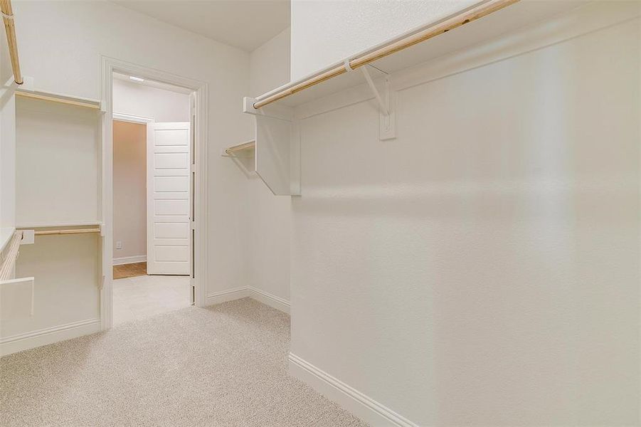 Walk in closet featuring light carpet