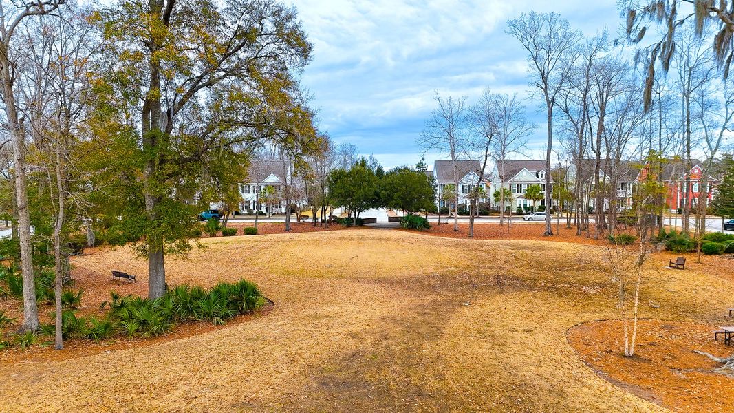 Natural landscape and outdoor views near Park's Edge at Carolina Bay in Charleston (Image 64). Natural landscape and outdoor views near Park's Edge at Carolina Bay in Charleston (Image 64).