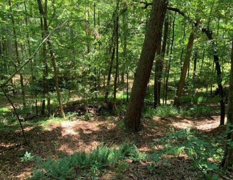 Image 14 of a home in .