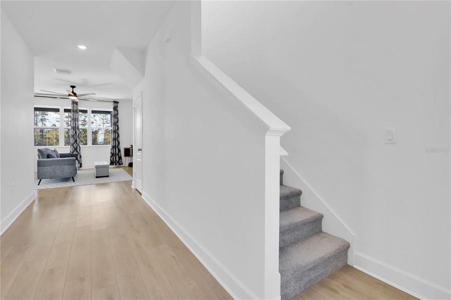 Spacious, unfurnished interior of a new home in , Clermont (Image 17).