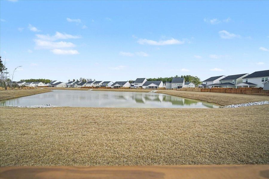 Natural landscape and outdoor views near Heron's Walk at Summers Corner in Summerville (Image 23).