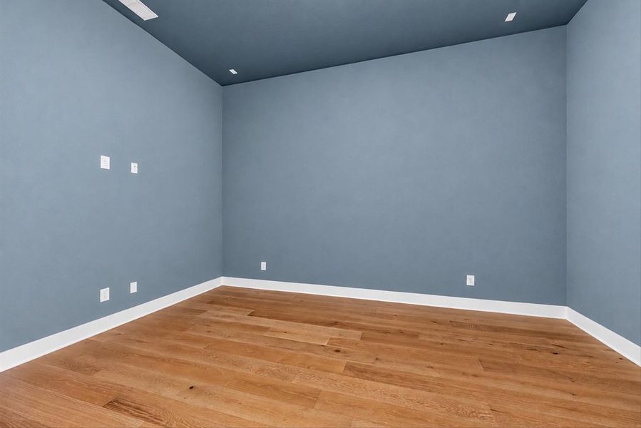 Entertainment Room
