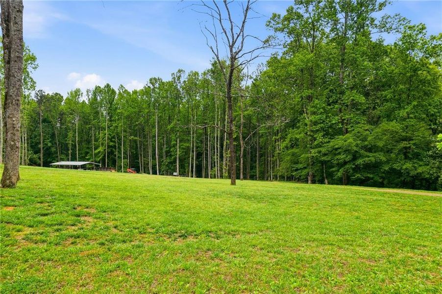 Natural landscape and outdoor views near  in Ball Ground (Image 43).