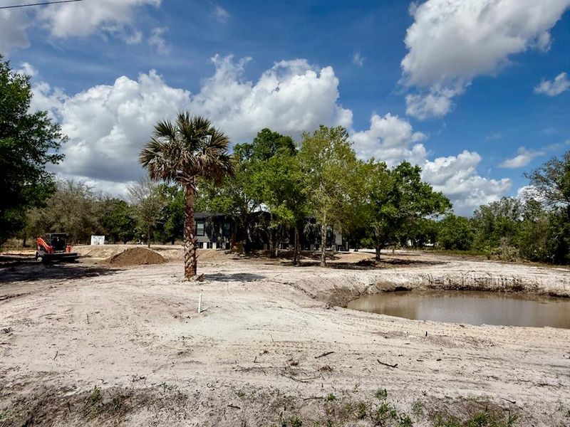 Natural landscape and outdoor views near  in Okeechobee (Image 48).