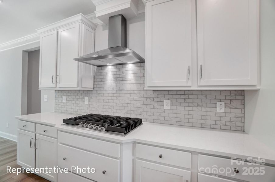 Close-up of interior finishes inside a home in Rone Creek, Waxhaw (Image 19).