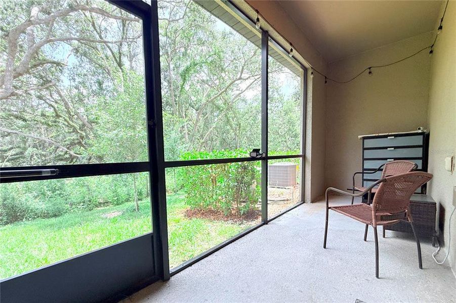 Exterior details and patio area of a home in , Wesley Chapel (Image 4). Exterior details and patio area of a home in , Wesley Chapel (Image 4).