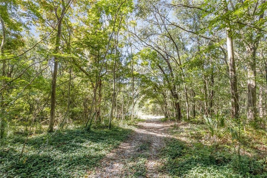 Natural landscape and outdoor views near in Deland (Image 46). Natural landscape and outdoor views near in Deland (Image 46).
