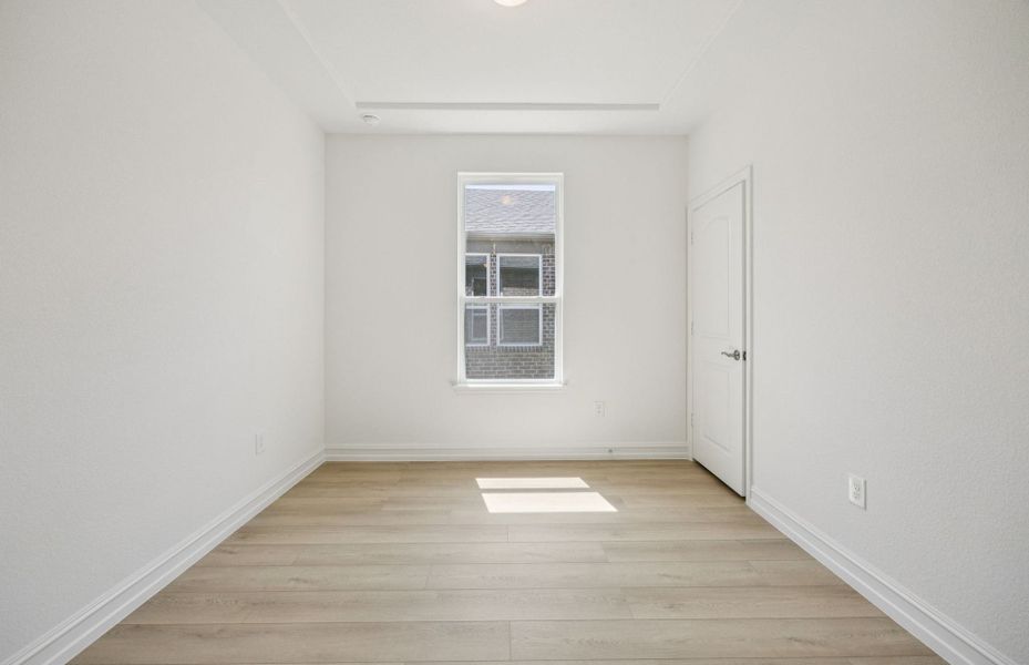 Elegant study Elegant study