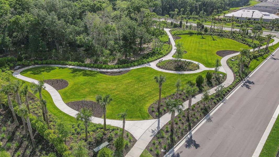 Image 114 of a home in Esplanade at Azario Lakewood Ranch.